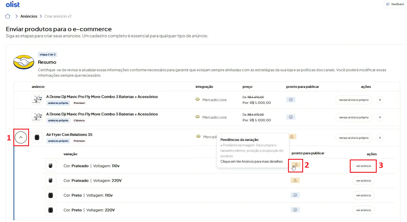 Tela oficial do Olist ERP - tut16_publicar_anuncios_hub_olist Passo 9